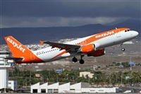 Alfonso Sols - Asociacin Canary Islands Spotting. Click to see full size photo