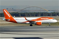 Nacho Rodriguez - Canary Islands Spotting. Click to see full size photo