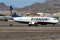 ©Alfonso Solís - Asociación Canary Islands Spotting. Click to see full size photo ©Alfonso Solís - Asociación Canary Islands Spotting. Click to see full size photo