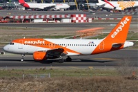 ©Alfonso Solís - Asociación Canary Islands Spotting. Click to see full size photo ©Alfonso Solís - Asociación Canary Islands Spotting. Click to see full size photo