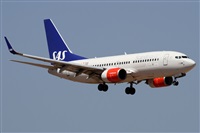 Alfonso Sols - Asociacin Canary Islands Spotting. Click to see full size photo