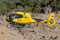 Luis Alvarez - AIRE org. Click to see full size photo