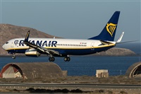 ©Adolfo Bento - Gran Canaria Spotters. Click to see full size photo ©Adolfo Bento - Gran Canaria Spotters. Click to see full size photo