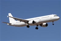 Alfonso Sols - Asociacin Canary Islands Spotting. Haz click para ampliar