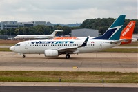 Javier de la Cruz - CANARY ISLANDS SPOTTING. Click to see full size photo