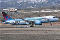 Miguel A. gueda Rguez.  (CANARY ISLANDS SPOTTING). Click to see full size photo