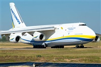Tams. Click to see full size photo