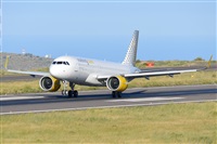 Miguel A. gueda Rguez.  (CANARY ISLANDS SPOTTING). Click to see full size photo