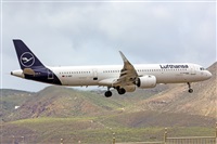 Romn Valladares-Gran Canaria Spotters. Click to see full size photo