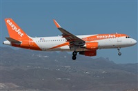 ©Adolfo Bento - Gran Canaria Spotters. Click to see full size photo ©Adolfo Bento - Gran Canaria Spotters. Click to see full size photo