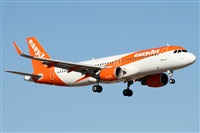 Alfonso Sols - Asociacin Canary Islands Spotting. Click to see full size photo