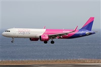 ©Alfonso Solís - Asociación Canary Islands Spotting. Click to see full size photo ©Alfonso Solís - Asociación Canary Islands Spotting. Click to see full size photo
