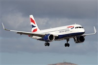 Alfonso Sols - Asociacin Canary Islands Spotting. Haz click para ampliar