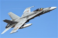 ©Adolfo Bento - Gran Canaria Spotters. Click to see full size photo ©Adolfo Bento - Gran Canaria Spotters. Click to see full size photo
