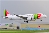 Miguel A. gueda Rguez.  (CANARY ISLANDS SPOTTING). Click to see full size photo