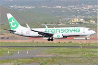 Miguel A. gueda Rguez.  (CANARY ISLANDS SPOTTING). Click to see full size photo