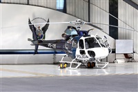 La Roche Spotters. Click to see full size photo