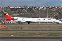 ©Alfonso Solís - Asociación Canary Islands Spotting. Click to see full size photo ©Alfonso Solís - Asociación Canary Islands Spotting. Click to see full size photo