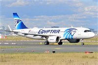 Miguel A. gueda Rguez.  (CANARY ISLANDS SPOTTING). Click to see full size photo