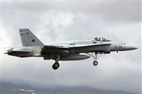Florencio Martn Melin - Lanzarote Spotters. Haz click para ampliar