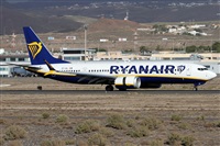 Alfonso Sols - Asociacin Canary Islands Spotting. Click to see full size photo