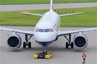 Miguel A. gueda Rguez.  (CANARY ISLANDS SPOTTING). Click to see full size photo
