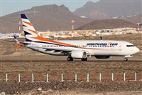 ©Alfonso Solís - Asociación Canary Islands Spotting. Click to see full size photo ©Alfonso Solís - Asociación Canary Islands Spotting. Click to see full size photo