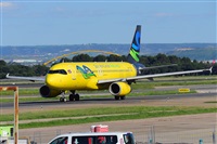 Miguel A. gueda Rguez.  (CANARY ISLANDS SPOTTING). Click to see full size photo