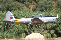 luiscarlosvieira. Click to see full size photo