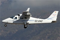 Alfonso Sols - Asociacin Canary Islands Spotting. Click to see full size photo