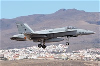 �Adri�n Alonso Lemes - Lanzarote Spotters. Click to see full size photo