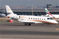 �Sergio Cambronero - Asociaci�n AIRE. Click to see full size photo