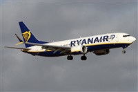 �Alfonso Sol�s - Asociaci�n Canary Islands Spotting. Haz click para ampliar