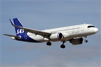 �Alfonso Sol�s - Asociaci�n Canary Islands Spotting. Click to see full size photo