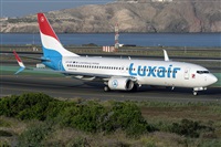 ©Adolfo Bento - Gran Canaria Spotters. Click to see full size photo ©Adolfo Bento - Gran Canaria Spotters. Click to see full size photo
