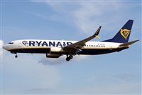 �Alfonso Sol�s - Asociaci�n Canary Islands Spotting. Click to see full size photo