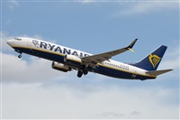 �Vicente Aguil�. Click to see full size photo