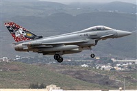 �Adolfo Bento - Gran Canaria Spotters. Click to see full size photo