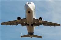 �Sergio Cambronero - Asociaci�n AIRE. Click to see full size photo