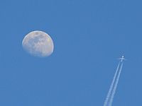 Carlos Moreira  *  PortugalSpotters.org. Click to see full size photo