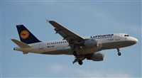 Rubn Gil - Noisy Spotters. Click to see full size photo