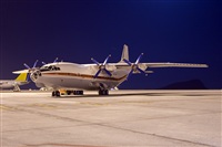 Javier de la Cruz - CANARY ISLANDS SPOTTING. Click to see full size photo