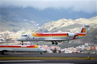 ©Carlos Alberto B. Click to see full size photo ©Carlos Alberto B. Click to see full size photo
