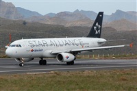 Chalo Canary Islands Spotting. Click to see full size photo
