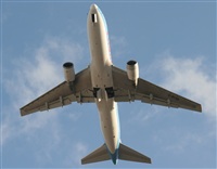Adrin Alonso Lemes - Lanzarote Spotters. Click to see full size photo
