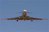©José Miguel Bernases - Noisy Spotters. Click to see full size photo ©José Miguel Bernases - Noisy Spotters. Click to see full size photo