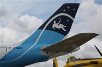 Rodrigo Carvalho - Noisy Spotters. Click to see full size photo