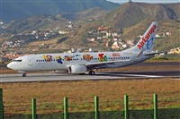 Miguel A. gueda Rguez.  (CANARY ISLANDS SPOTTING). Click to see full size photo