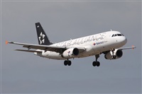 Alfonso Sols - Asociacin Canary Islands Spotting. Haz click para ampliar