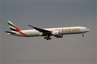 Javier de la Cruz - CANARY ISLANDS SPOTTING. Click to see full size photo